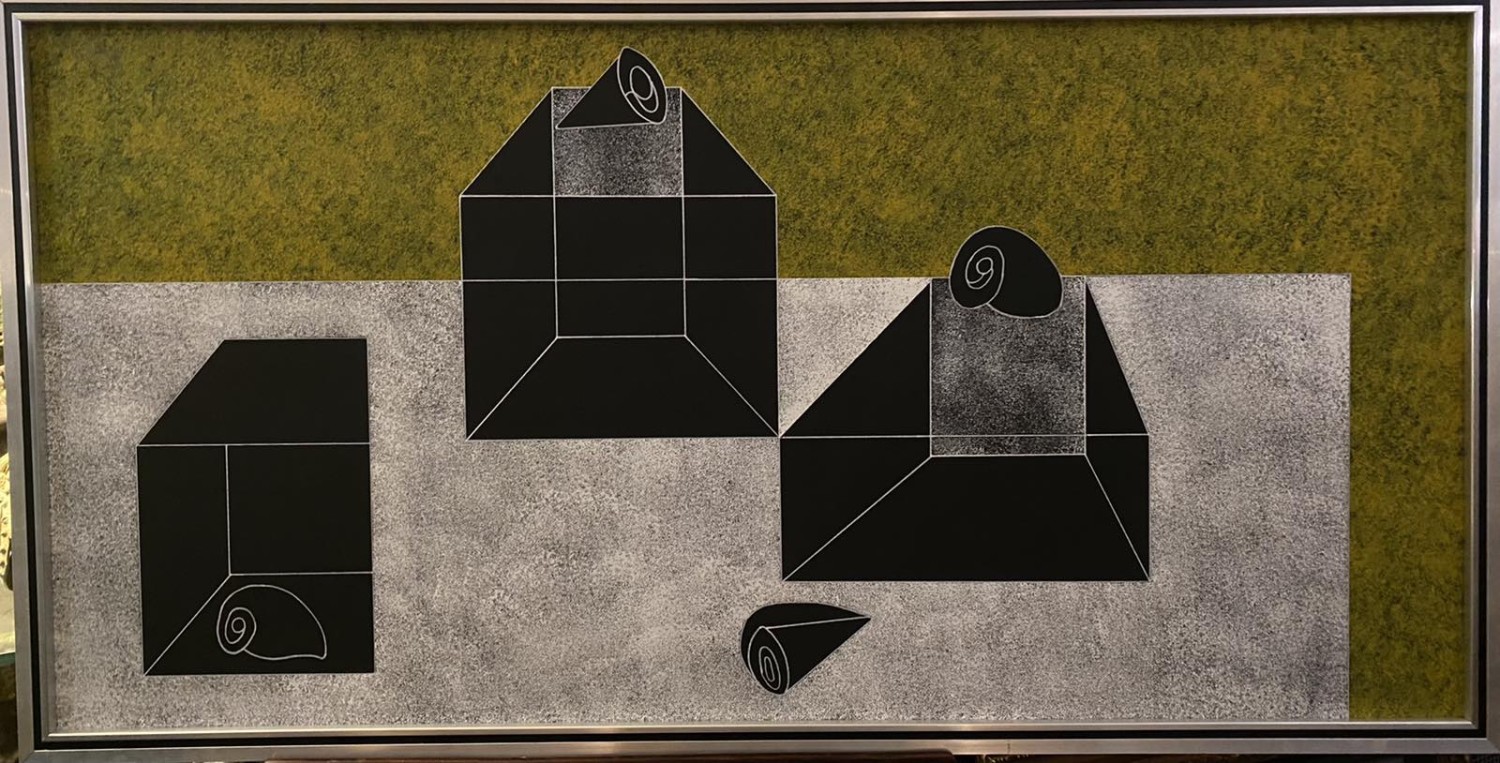 Boxes and Snails - The Luz Gallery